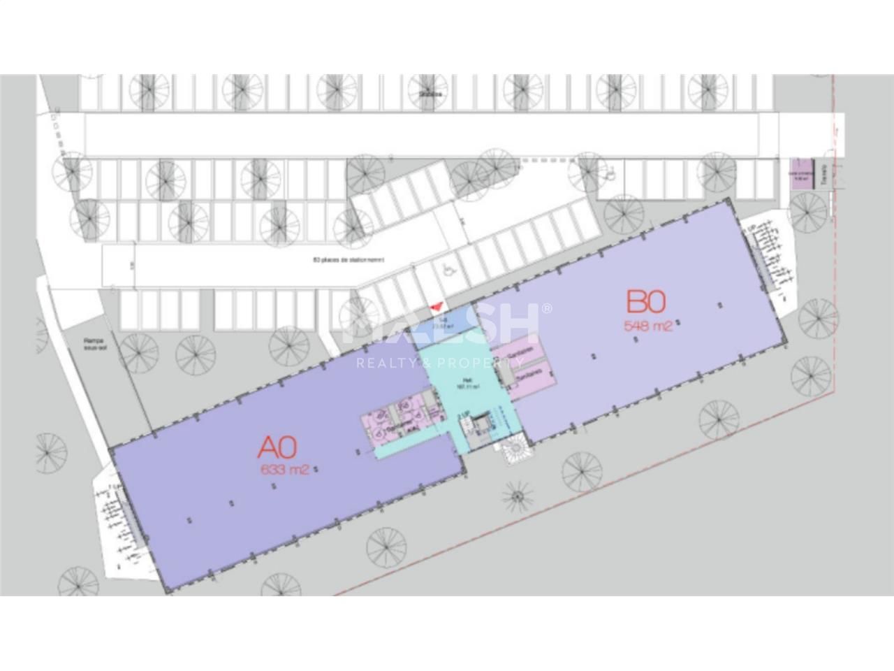 Vente bureaux 3966 m² divisibles à partir de 280 m²
