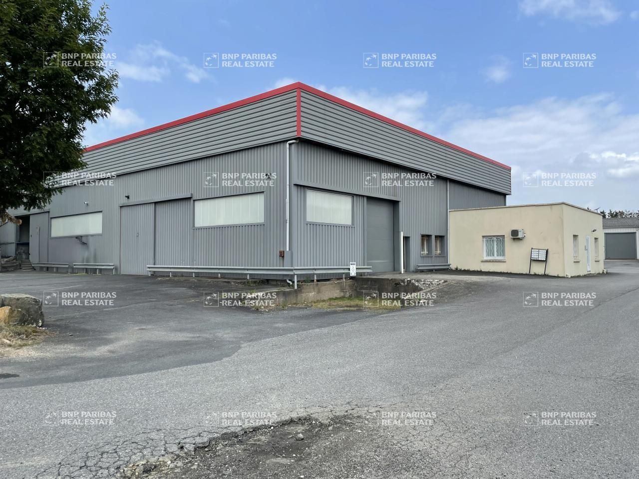 Location Activité 545.42 m² non divisibles 44470 Carquefou