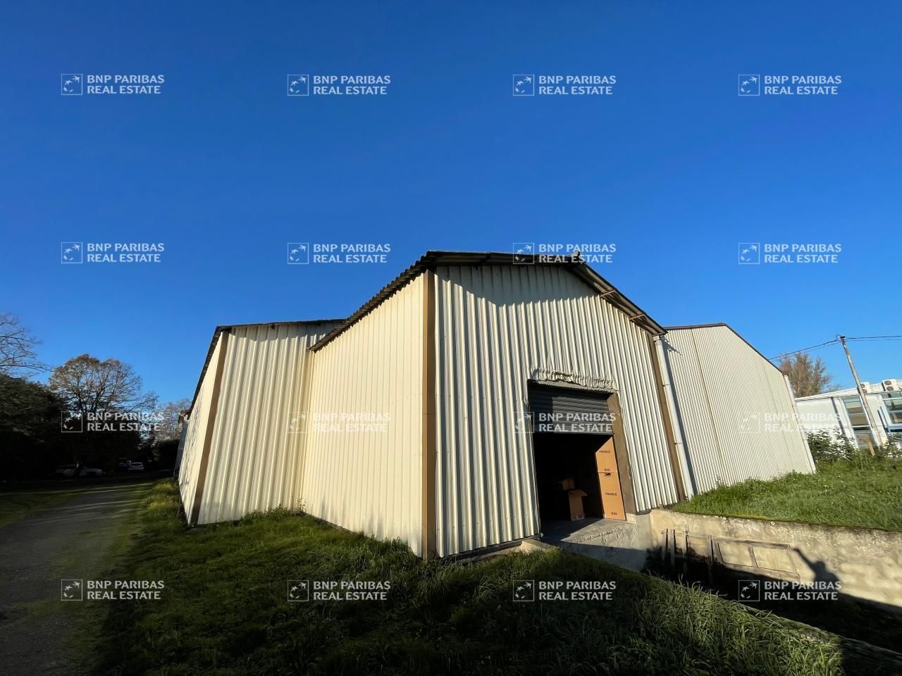 Vente activité à Saint-jory 31790