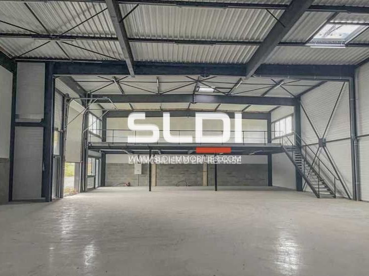 Sur la commune de Frans, nous vous proposons un l