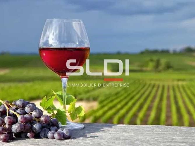 En plein coeur du Beaujolais, nous vous proposons