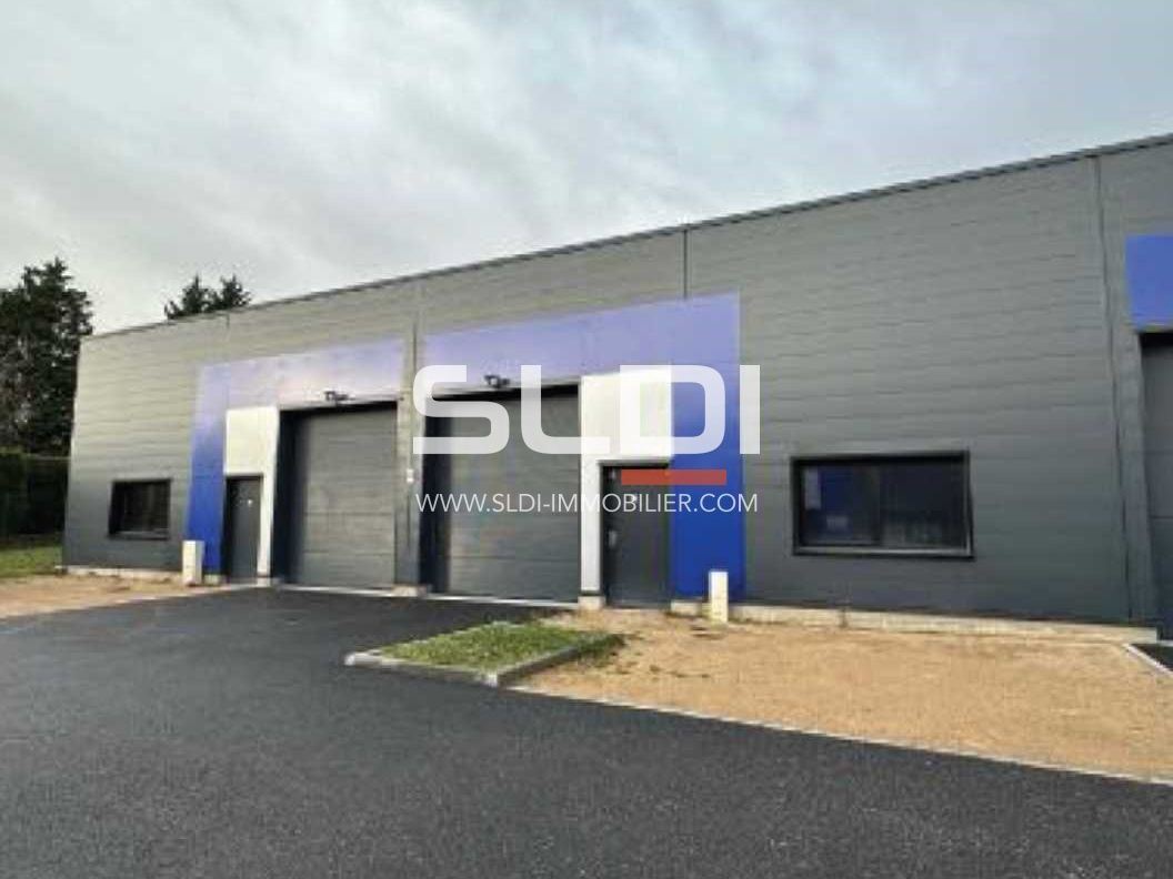 A louer à Pommiers, locaux d'activités de 294 m² 