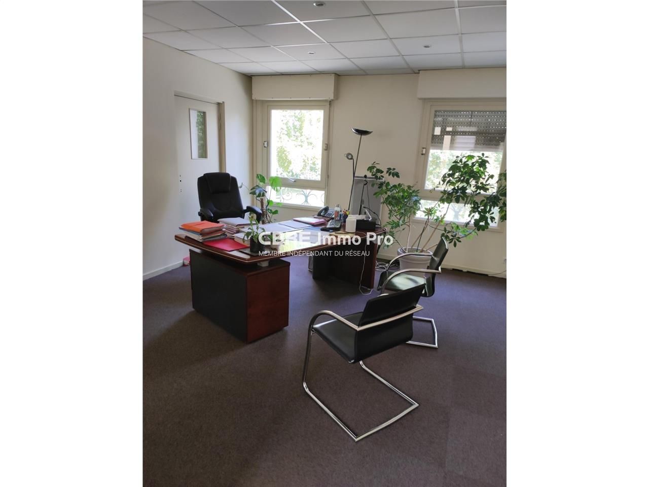 Découvrez un investissement sûr et prometteur à N