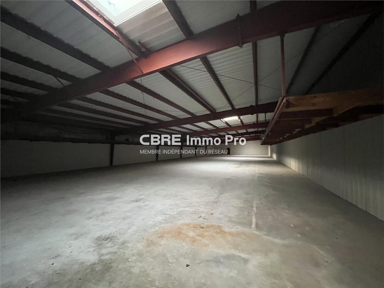 Les Portes du Futur, Futuroscope. Opportunité uni