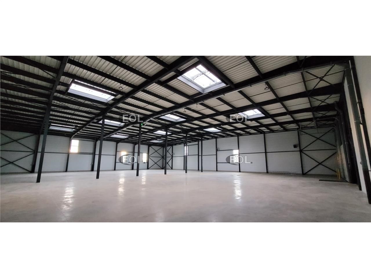 Entrepôt Activité avec quai de Chargement Lyon aéroport