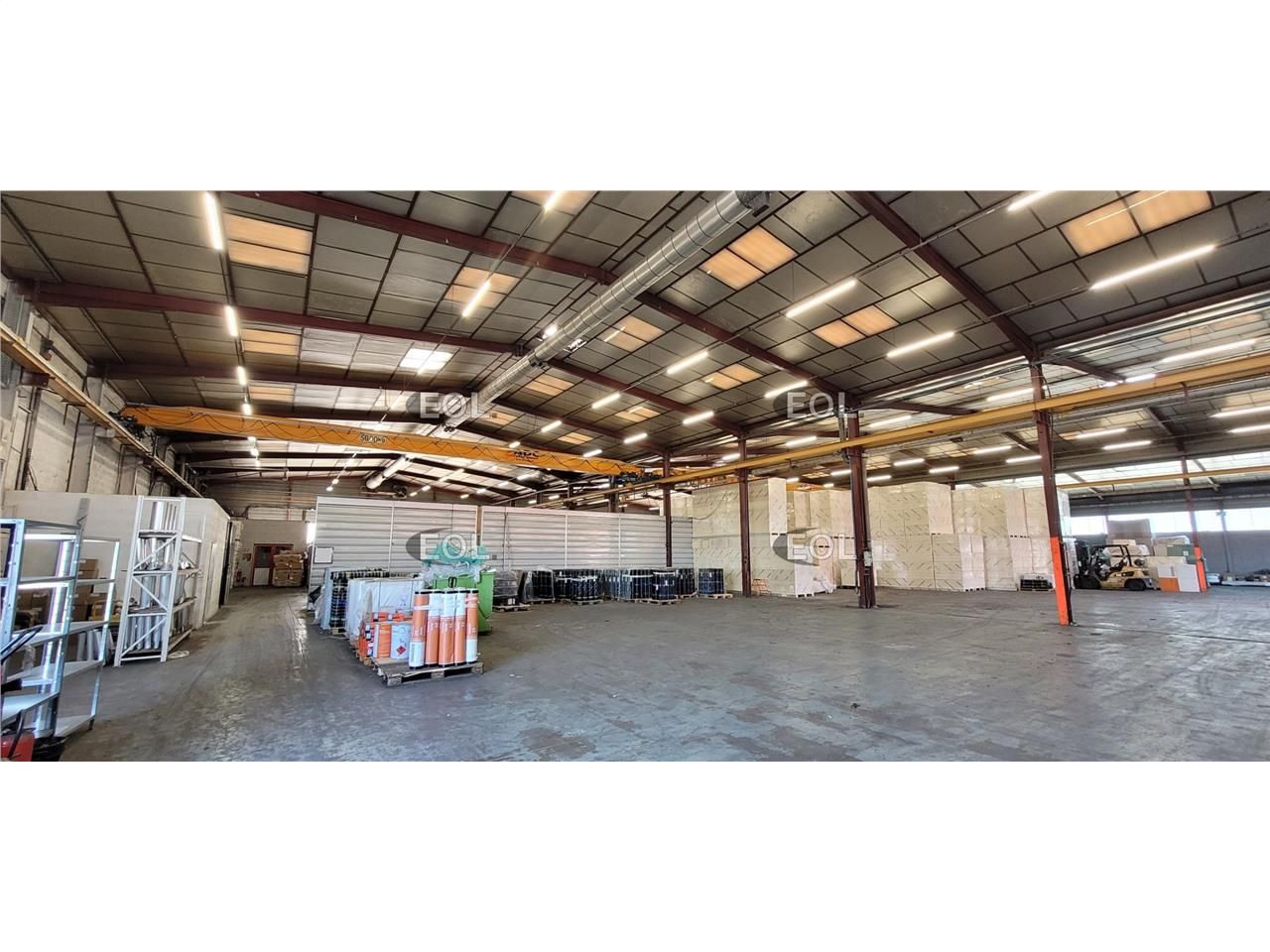 Local d'activité Vaulx en Velin Ponts roulants