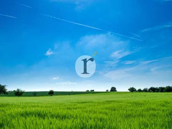 Aires d'Entreprises vous propose, à la vente, ce 