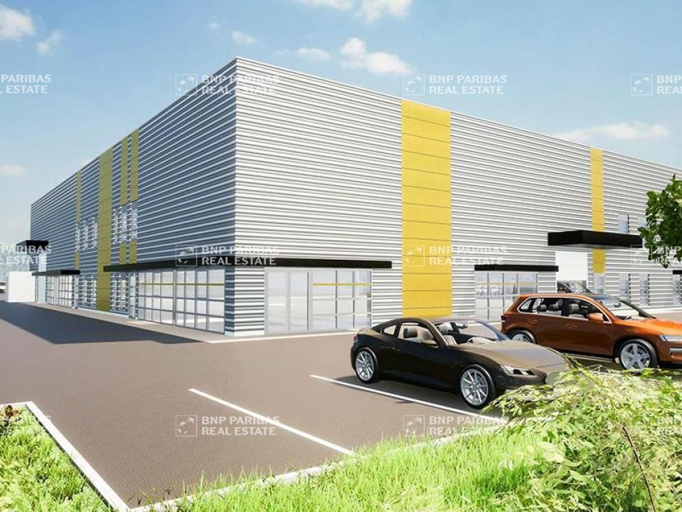 Vente Activité 1310 m² divisibles 38230 Tignieu-jameyzieu
