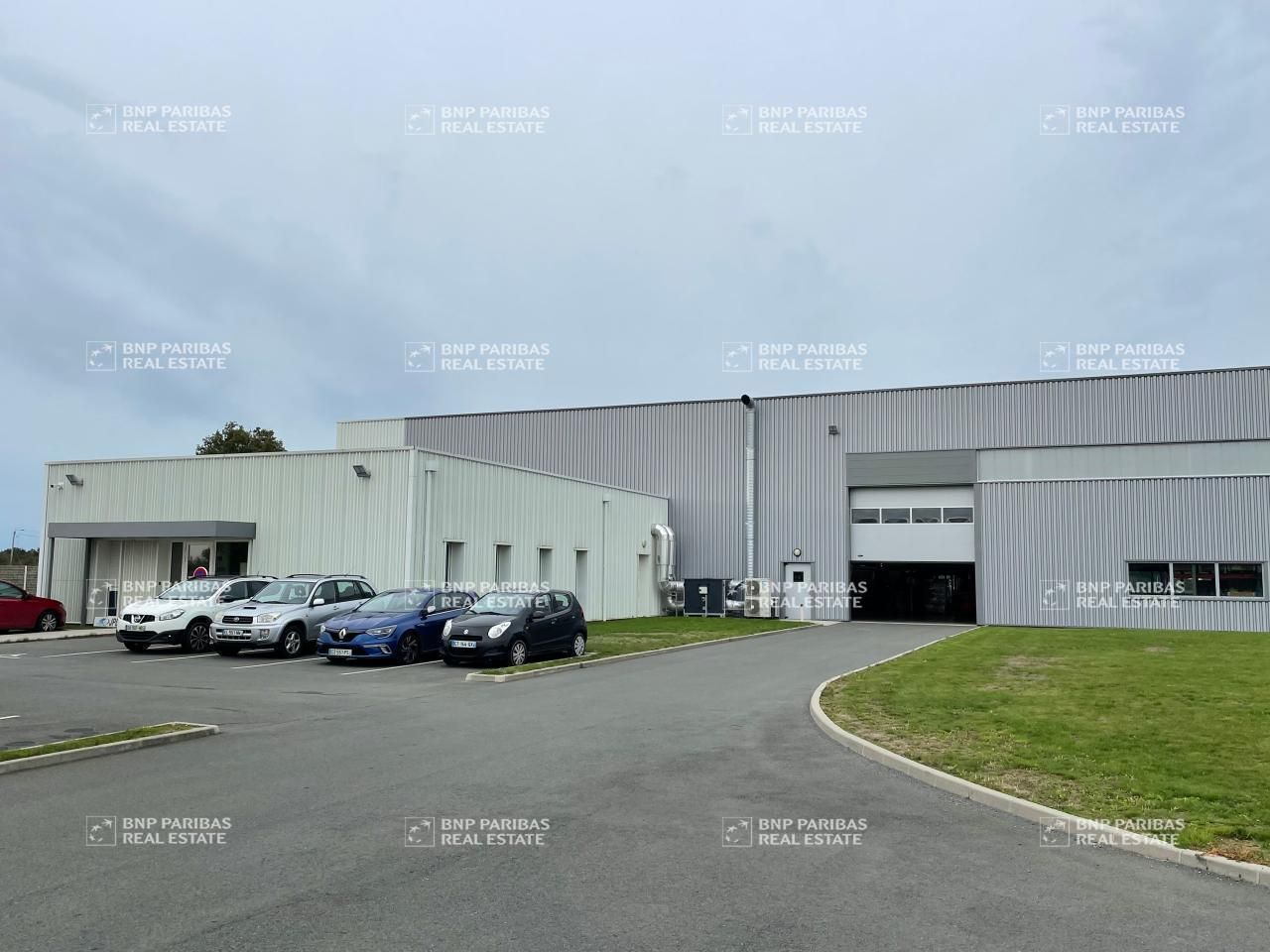 Vente Activité 1675 m² non divisibles 85150 Les achards