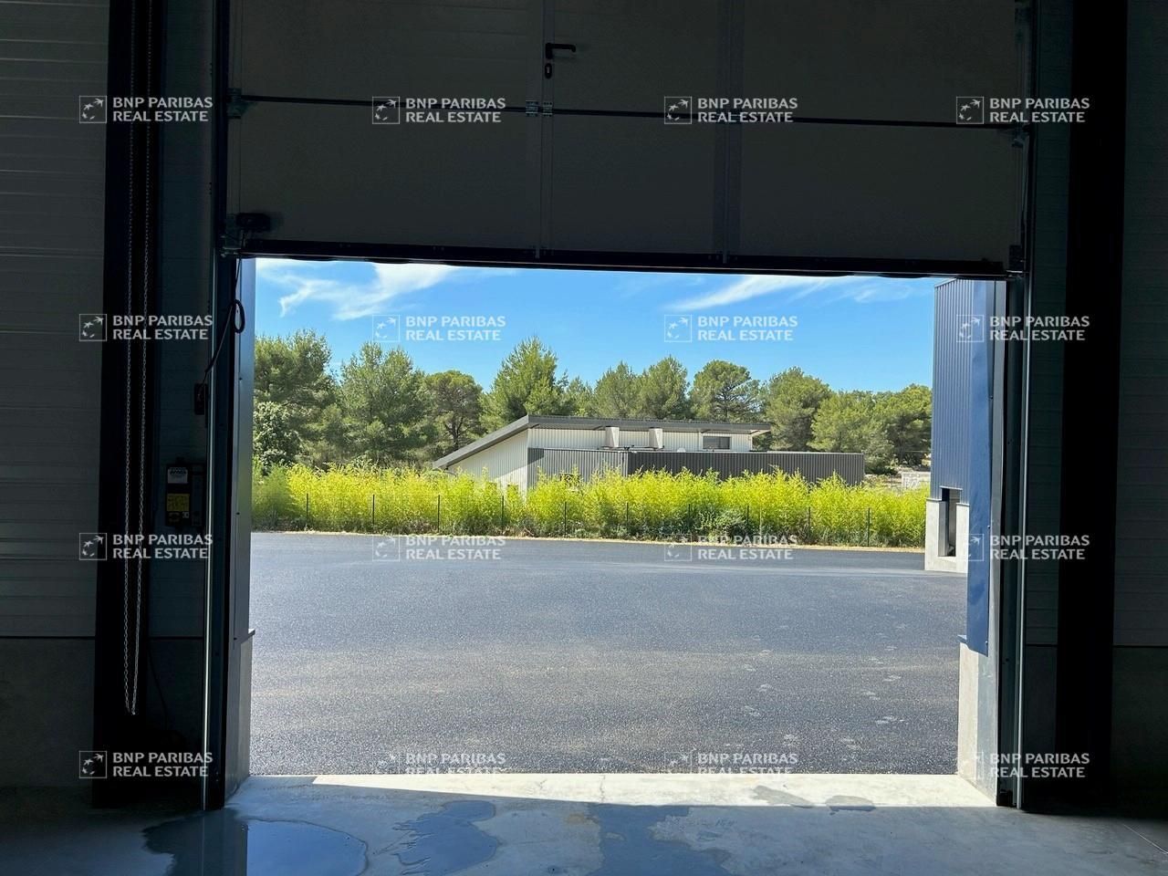 Location Activité 330 m² non divisibles 83870 Signes