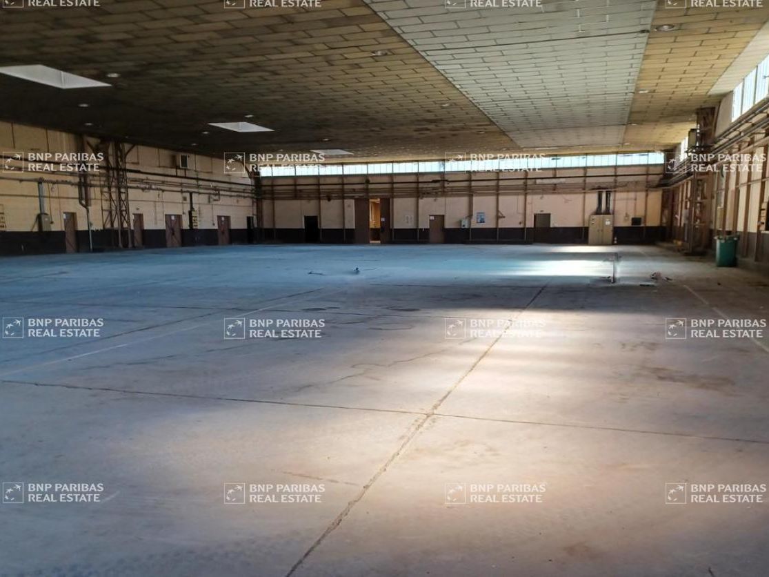 Location Activité 620 m² non divisibles 67960 Entzheim