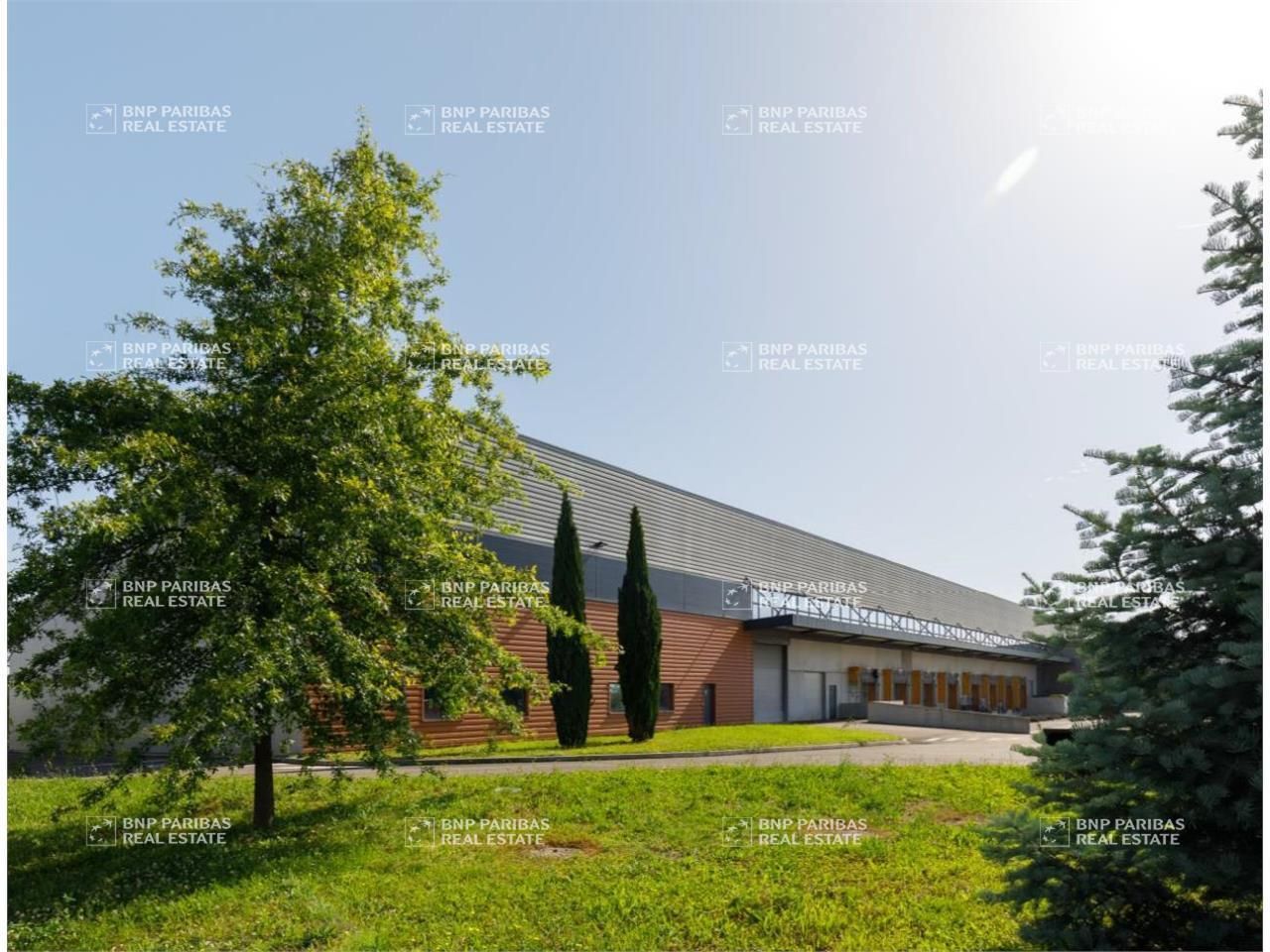 Location Activité 9623 m² non divisibles 01700 Miribel