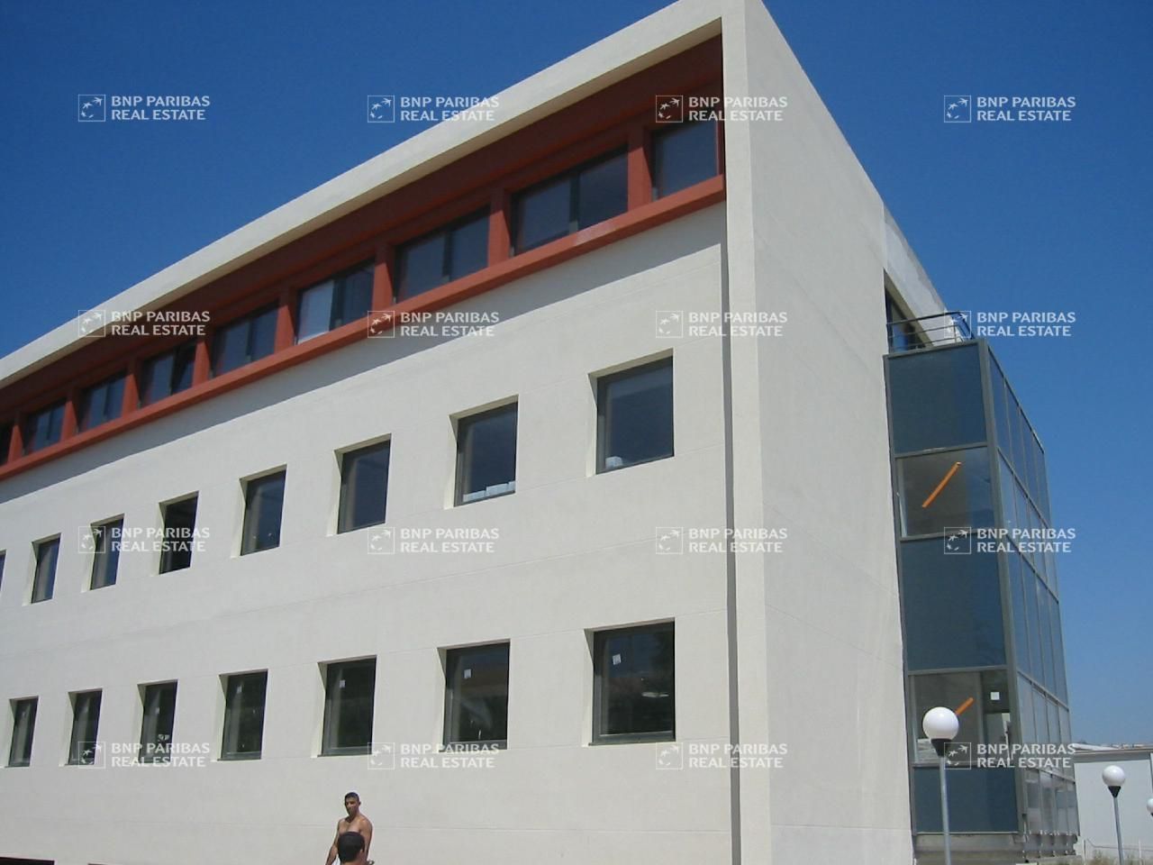 Location Bureaux 1613.55 m² divisibles 13016 Marseille