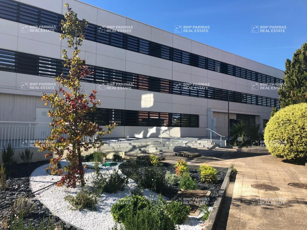 Location Bureaux 1729.53 m² non divisibles 31400 Toulouse