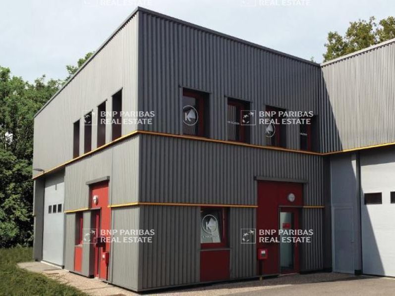 Location Activité 264 m² non divisibles 54850 Messein