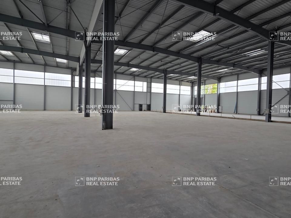 3269 m² pour ce activité en location à Torcy