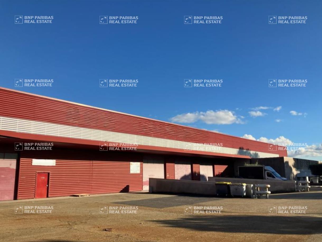 Location Mixtes 3020 m² non divisibles 30660 Gallargues-le-montueux