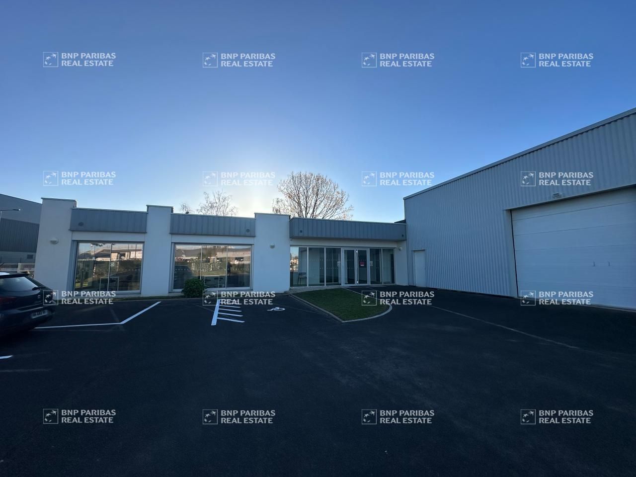 Location Activité 729 m² non divisibles 37100 Tours