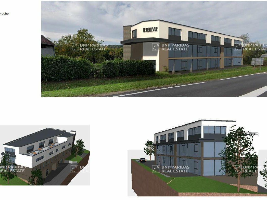 424.95 m² pour ce bureaux en vente à Fillière