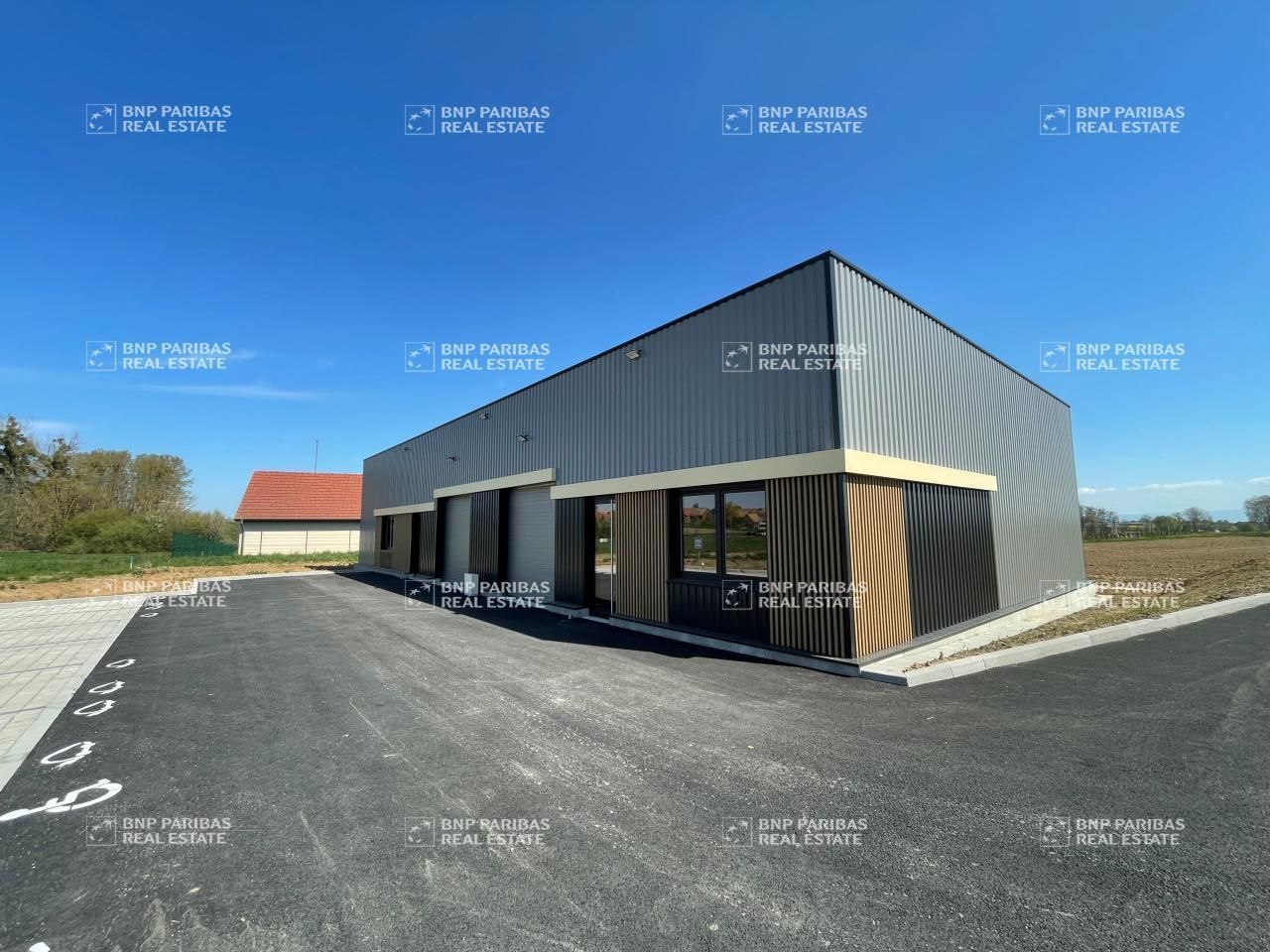 Location Activité 152.6 m² non divisibles 67170 Wingersheim-les-quatre-bans