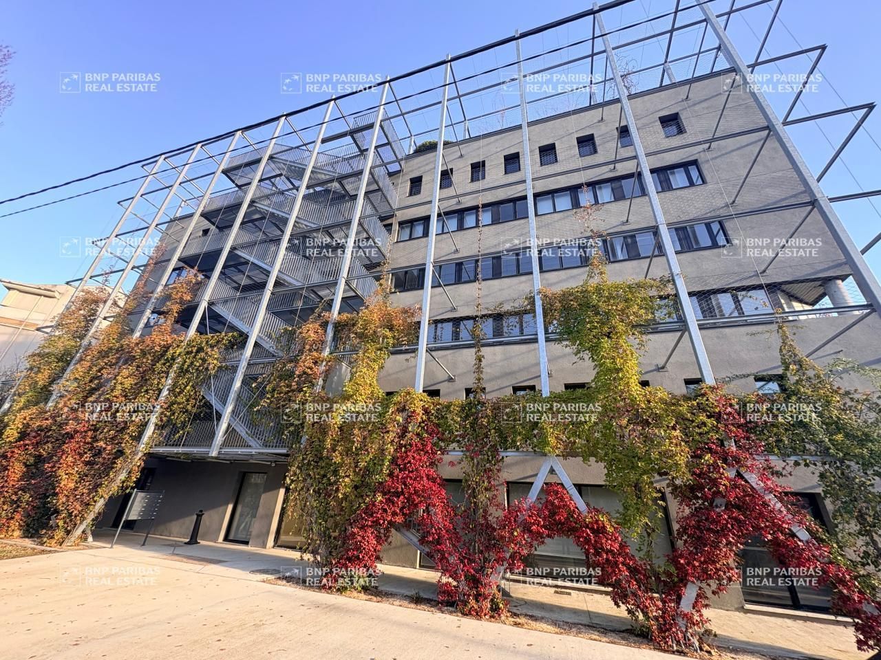 Location Bureaux 2500 m² divisibles 31400 Toulouse