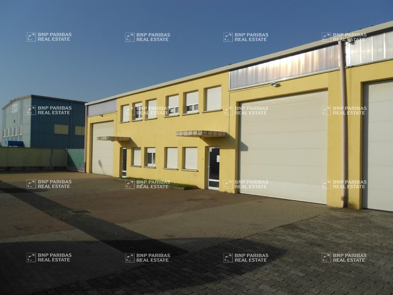 Location Activité 897 m² divisibles 67720 Hoerdt
