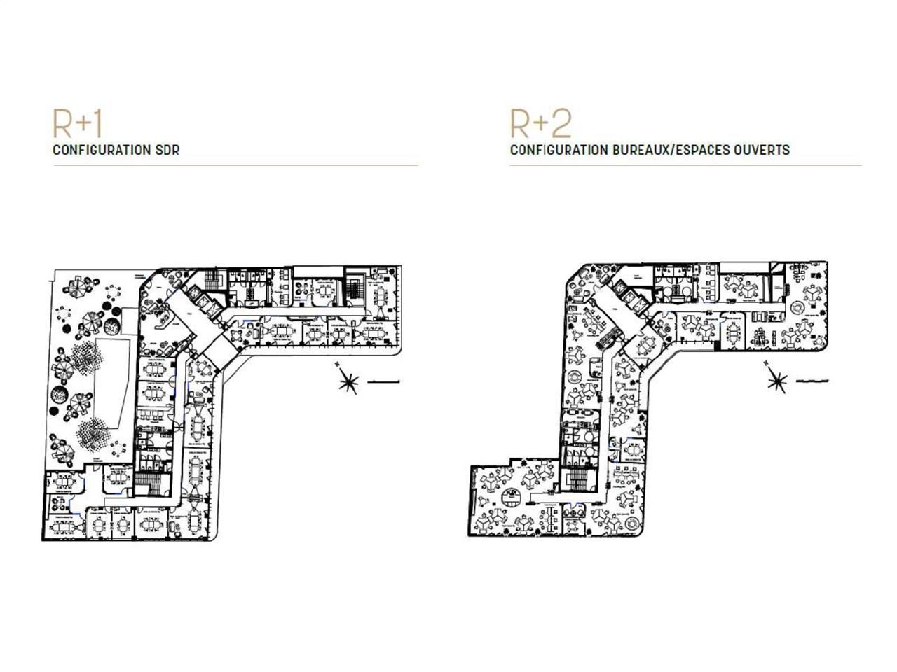 Location bureaux 1385 m² divisibles à partir de 248 m²