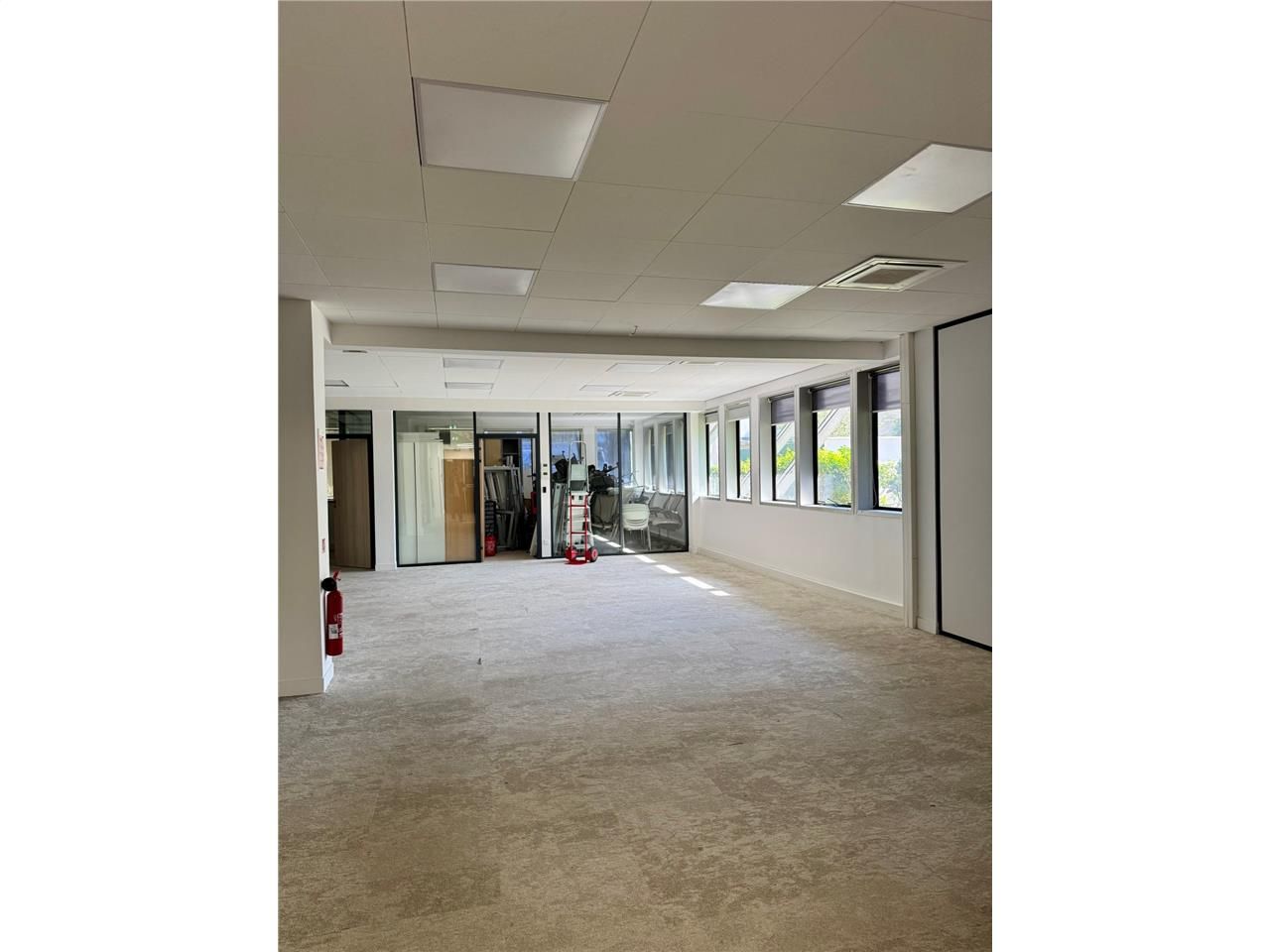 Alex Bolton vous propose à l'acquisition une surf