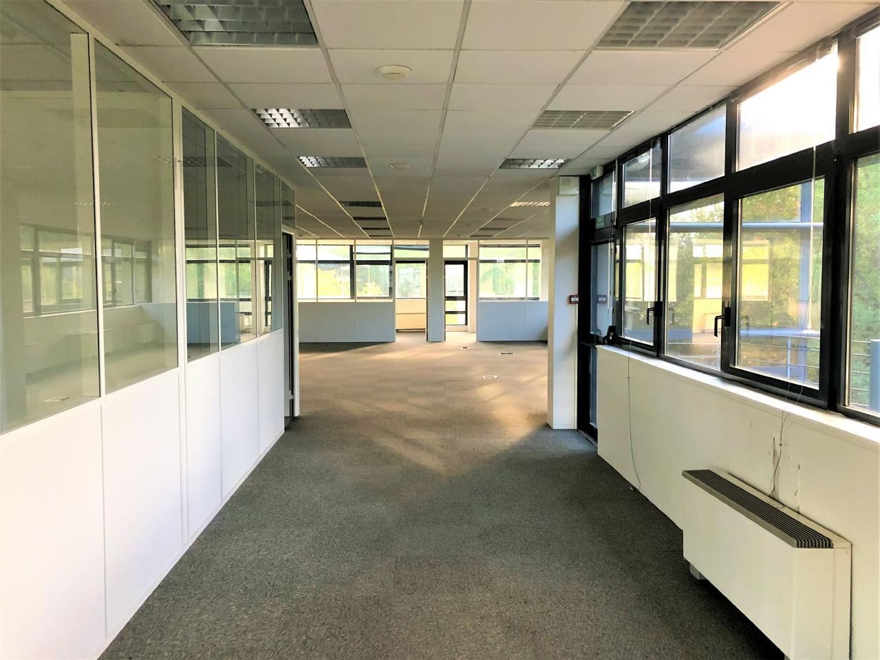 Location Bureaux 1255.61 m² divisibles 06410 Biot