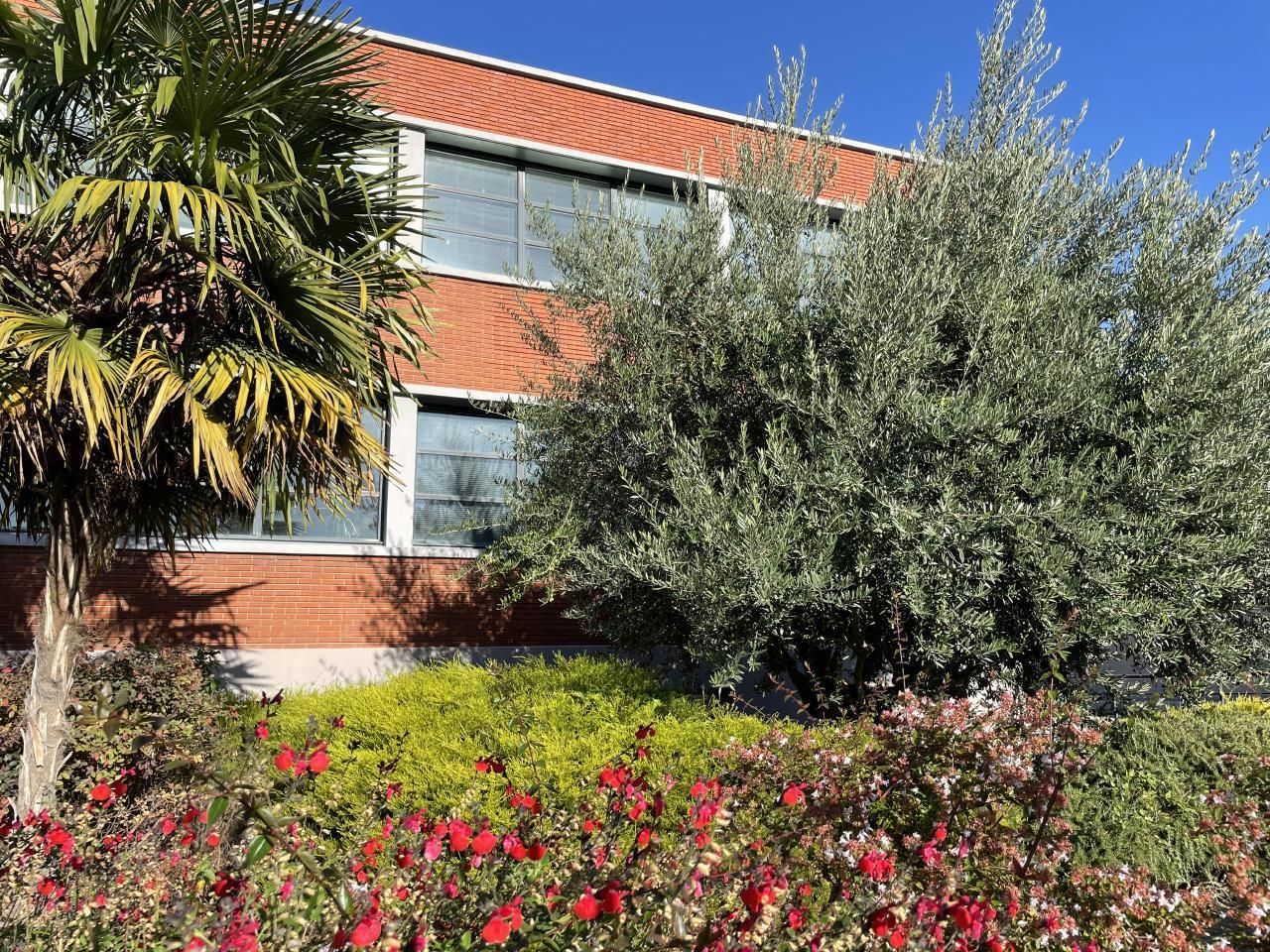 577 m² pour ce pme-pmi en location à Bezons