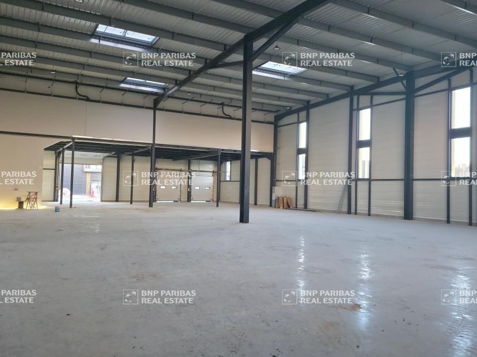 4959.98 m² pour ce pme-pmi en location à La queue-en-brie