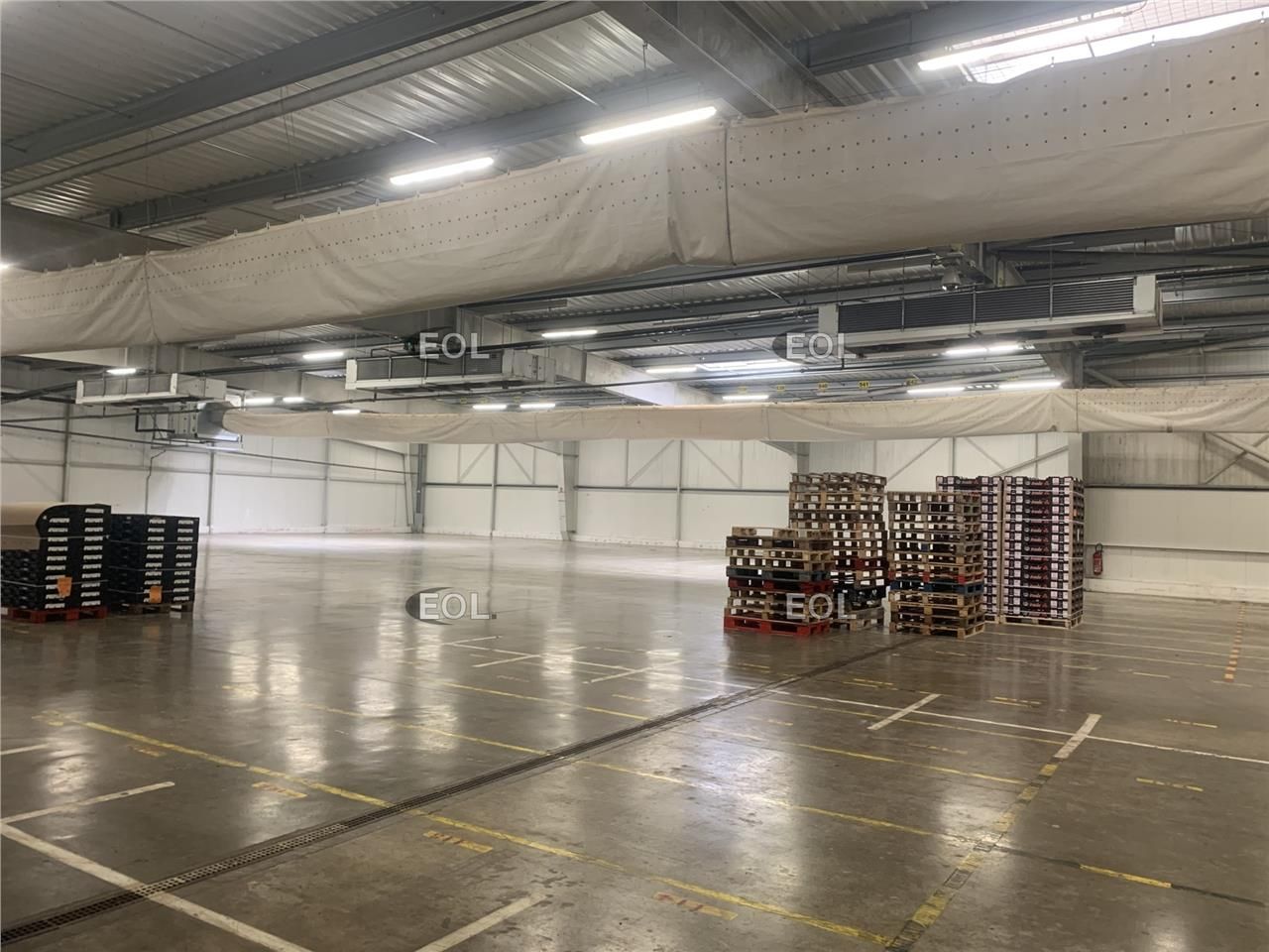 Location Local d'activités 2660 m² non divisibles