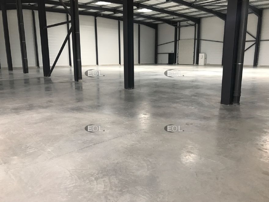 Location Local d'activités 1557 m² non divisibles