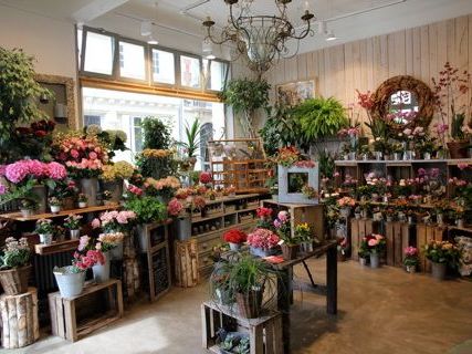 Location Local Commercial 540 m² non divisibles