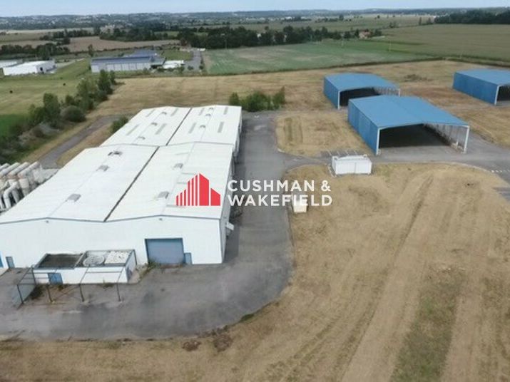 Vente terrain 81174 m² non divisibles