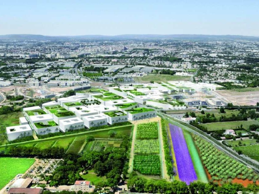 Vente terrain 15000 m² divisibles à partir de 1500 m²