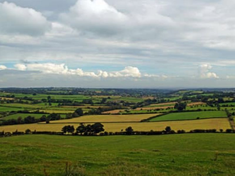 Location terrain 170000 m² non divisibles