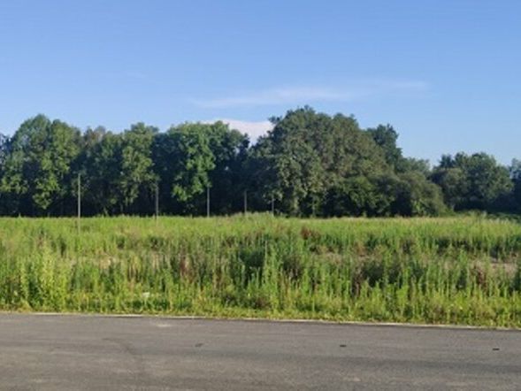 Vente terrain 55000 m² non divisibles