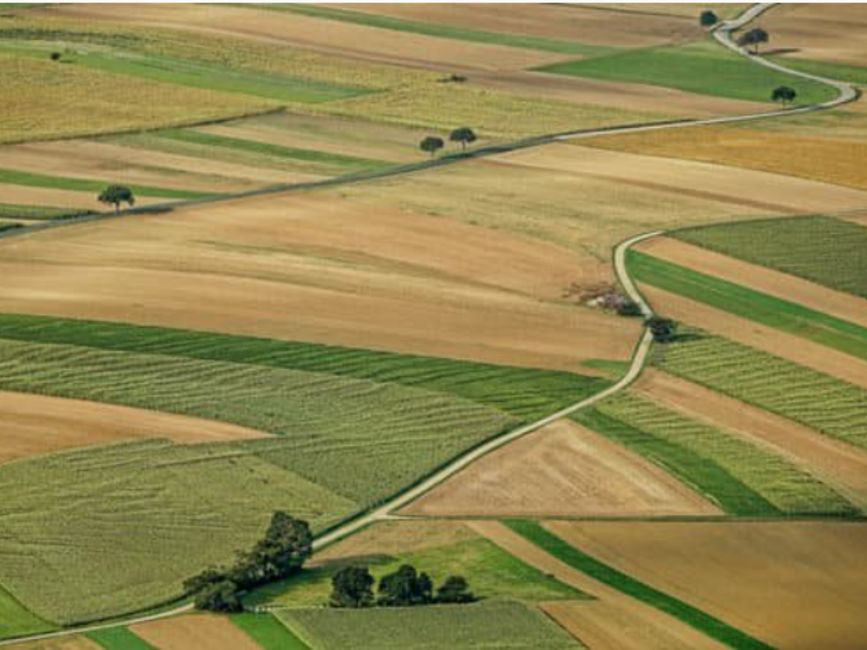 Location terrain 17000 m² non divisibles