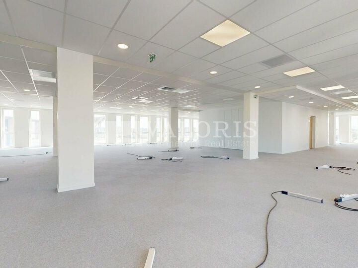 3769 m² pour ce bureaux en location à Decines charpieu