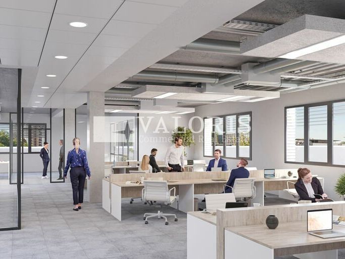 Lancement de la construction !