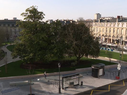 Location local commercial 25 m² à Bordeaux