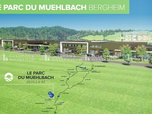 Vente terrain 14069 m² divisibles à partir de 2522 m²