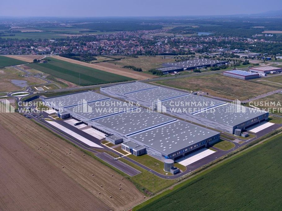 Location entrepôt 25210 m² divisibles à partir de 12367 m²