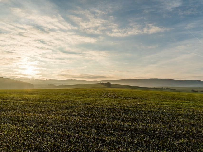 Vente terrain 7408 m² non divisibles