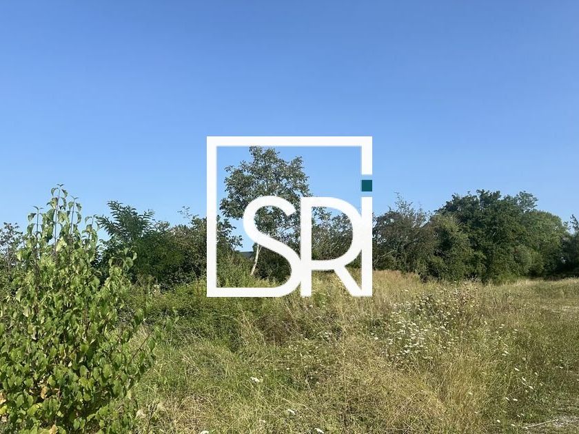VENTE TERRAIN POUR PROJET PROFESSIONNEL – 10 146 M² – AXE PASSANT – 03300 CUSSET