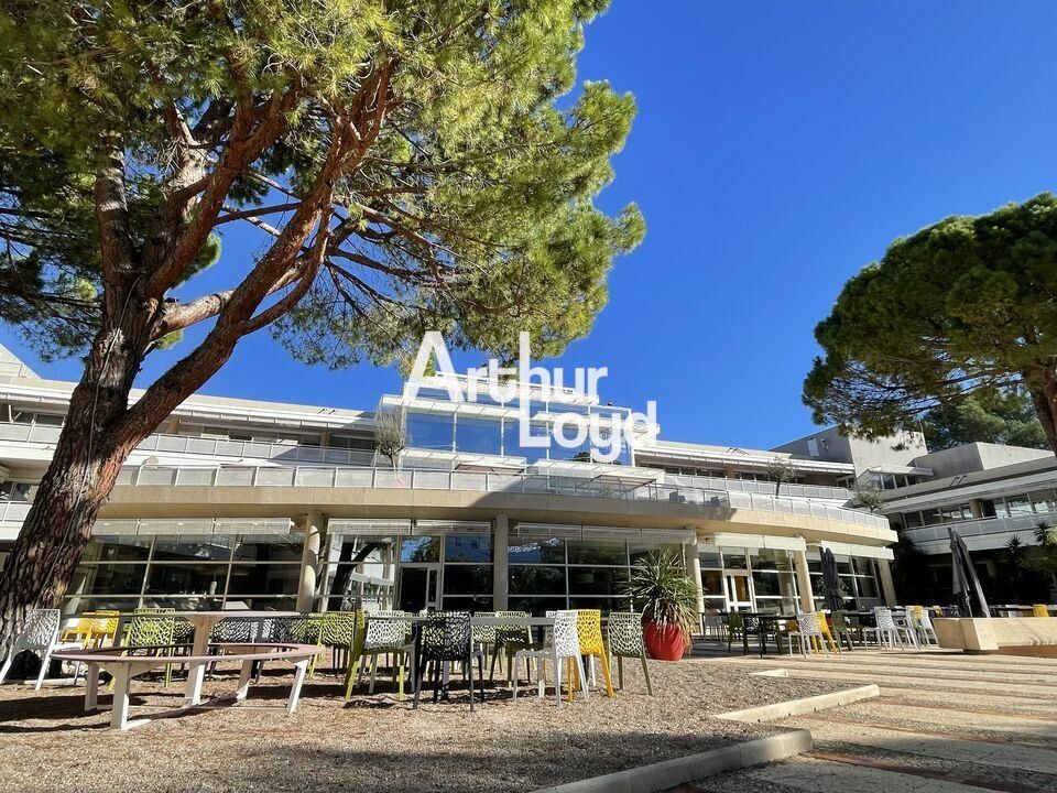 Bureaux à louer divisibles dès 72 m² - Quartier des Templiers - Sophia Antipolis 