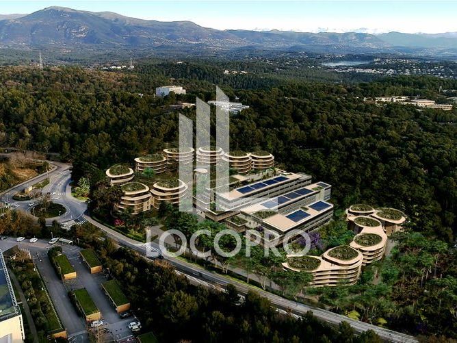 A LOUER - BUREAUX NEUFS A PARTIR DE 1000 M2 - SOPHIA ANTIPOLIS