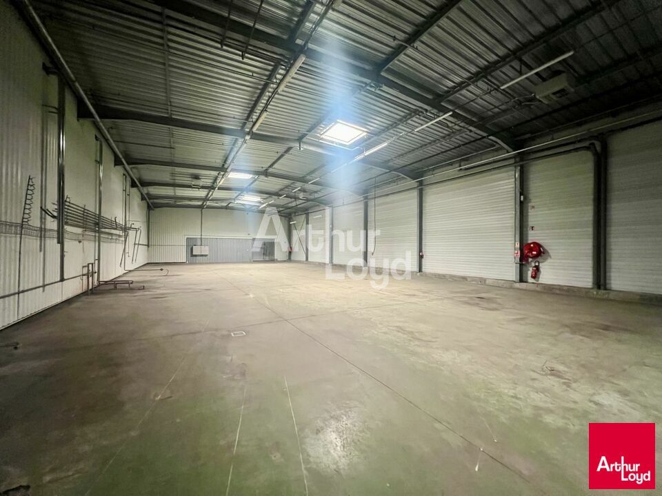 BETTON - LOCAL D'ACTIVITE A VENDRE 8 700m² 