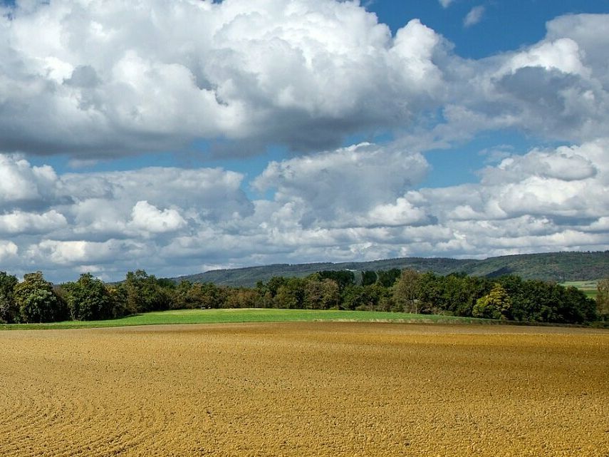 Vente terrain 26000 m² non divisibles